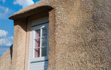 Bozen Green thatch roof disadvantages