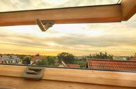 rated Bozen Green roof window companies